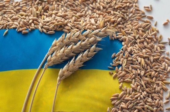 Єврокомісія шукає рішення щодо українського експорту зерна, яке буде прийнятним для всіх сторін, - Домбровскіс