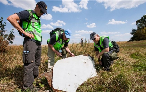 Убедительная версия. ПАСЕ обвинила Россию в катастрофе MH17 