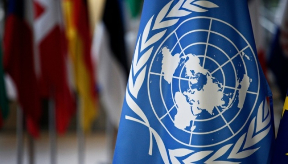 Продовольча програма ООН затвердила трирічний план для України на $2,1 мільярда