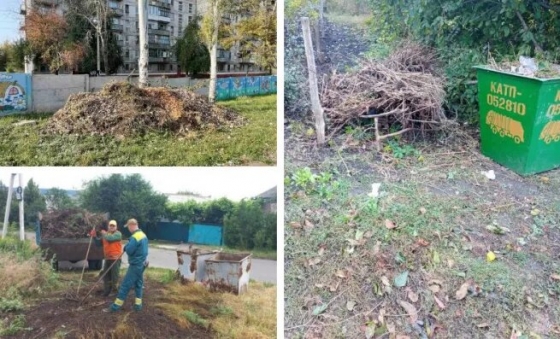 Жителям Краматорська нагадують, що опале листя та гілки не можна палити, викидати у смітники або поруч: що ж робити