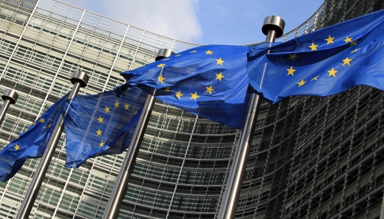 У Єврокомісії звинуватили Росію у фальсифікації історії