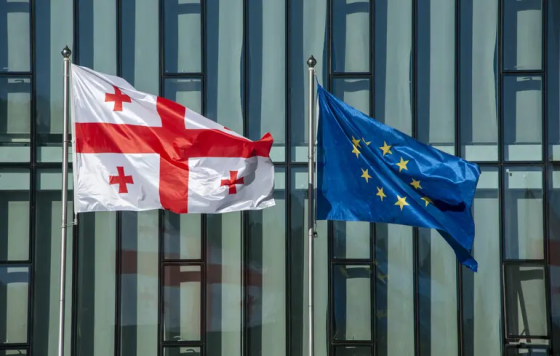 ЄС заявив про фактичне зупинення євроінтеграції Грузії через закон про реєстрацію іноагентів