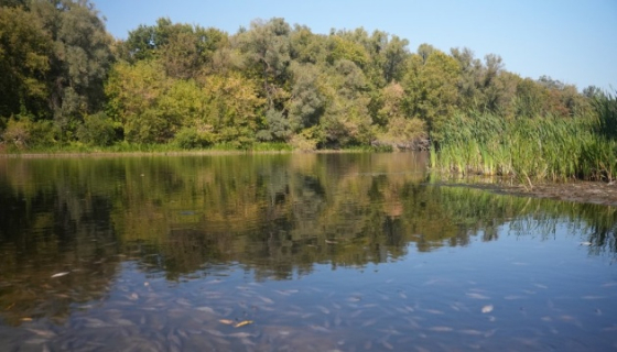 Міндовкілля: На Чернігівщині й надалі погіршується якість води у річці Сейм