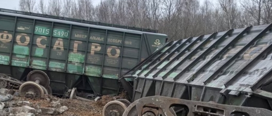 Чергове ЧП на залізниці в РФ: на Забайкаллі зійшли з рейок 14 вантажних вагонів