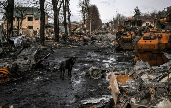 Німеччина розслідує можливий воєнний злочин росіян у Гостомелі