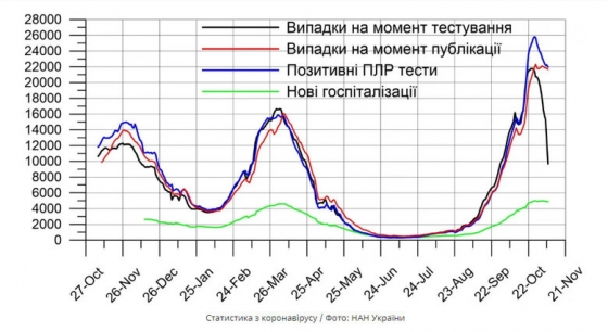 Пик заболеваемости коронавирусом в Украине, вероятно, пройден, - НАН