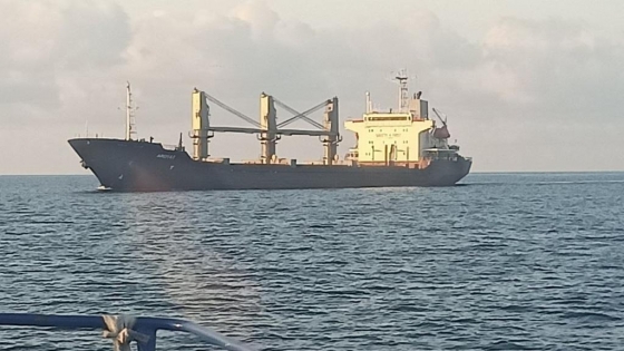 Вже 7 суден вийшли з одеських портів новим коридором, - ВМС