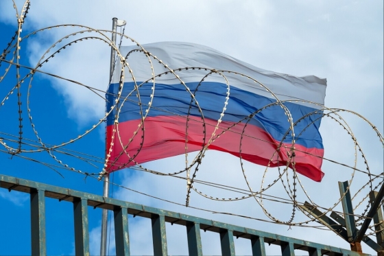 Грузинські митники виявили понад 1700 спроб обходу санкцій проти РФ, - Мінфін Грузії