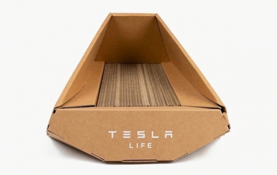 Tesla створила котячий лоток у формі Cybertruck