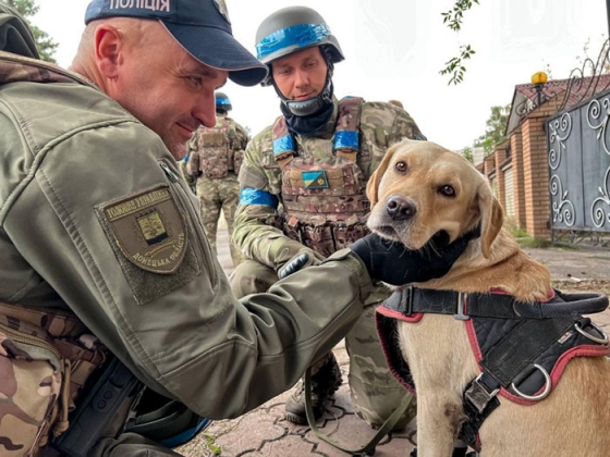 Службові собаки допомагають повернути безпеку в деокуповані міста Донеччини