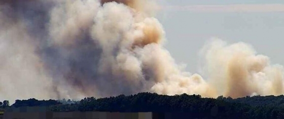На Сумщині внаслідок ворожого обстрілу горить ліс, - Живицький