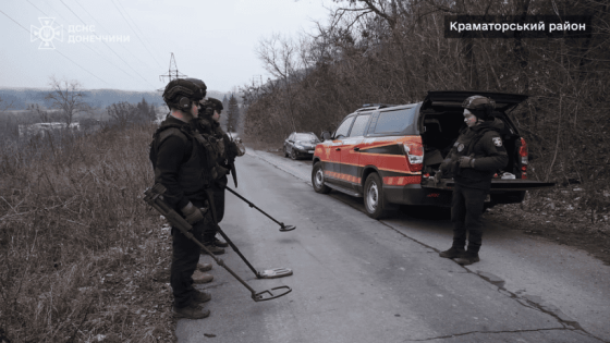 Піротехніки ДСНС Донеччини обстежують території біля пошкоджених ліній електропередач