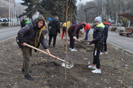 У Краматорську висадили саджанці платана