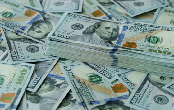 Євро витісняє долар зі світових резервів - МВФ