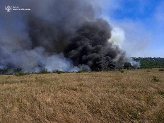 30 га зернових протягом доби знищено на Миколаївщині внаслідок пожеж, - ДСНС