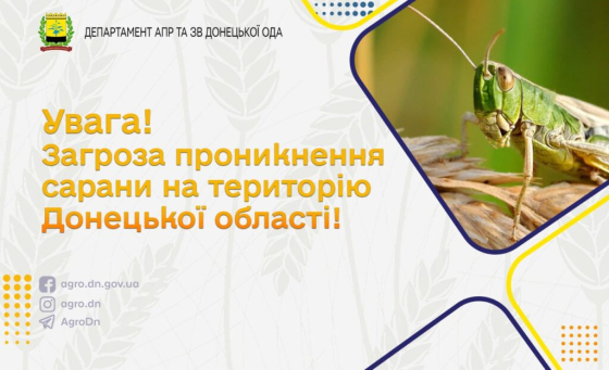 Загроза проникнення сарани на територію Донецької області!