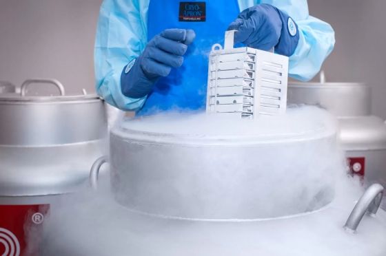 Зеленський підписав закон про збереження репродуктивних клітин військових