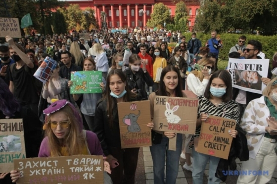 В Киеве и других городах проходит Марш за права животных