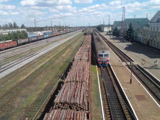 Донецкие правоохранители прикрыли канал поставок древесины боевикам по железной дороге