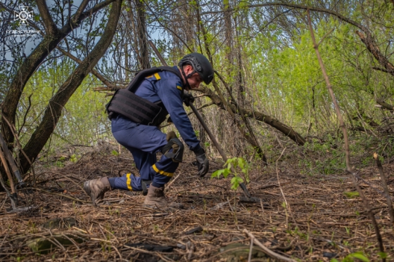 Ще майже сто вибухонебезпечних предметів виявили за добу на Донеччині піротехніки ДСНС