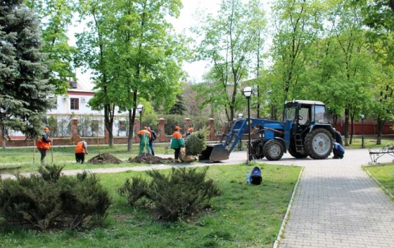 Озеленение Краматорска продолжается 