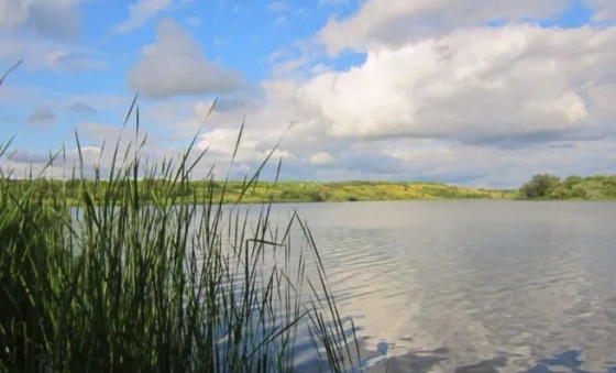 Для чого у Краматорську шукають господарів ставків та водосховищ