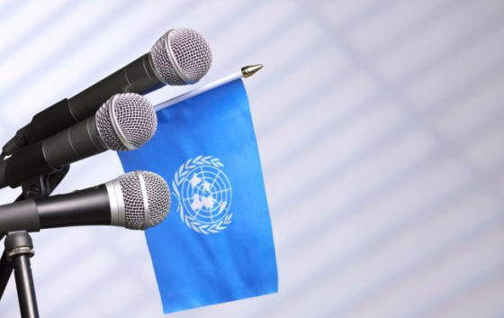 Агентства ООН таємно перевірять роботу Пенсійного фонду України