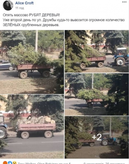 На ул. Дружбы вырубают деревья: что происходит 