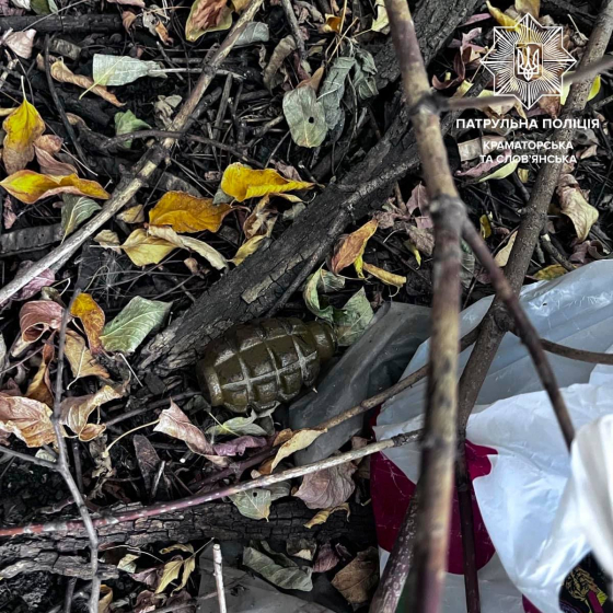 У Слов’янську поліціянти виявили громадянина, який намагався сховати небезпечні предмети
