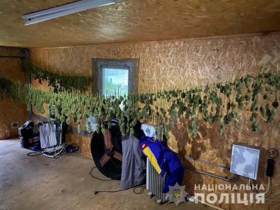 В столице полиция изъяла у мужчины каннабиса на 5 млн гривен
