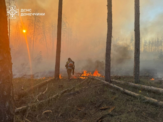 Донеччина: за добу рятувальники ліквідували 10 пожеж на відкритих територіях та в екосистемах