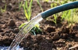До уваги мешканців приватного сектору! Поливний сезон 2023