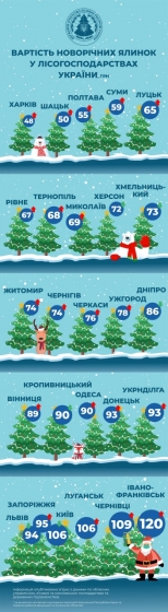 Сколько будет стоить новогодняя елка: названы цены по городам Украины