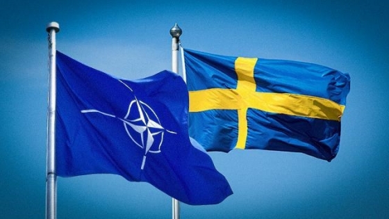 Комітет парламенту Туреччини підтримав вступ Швеції в НАТО