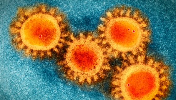 В Украине за сутки - 553 новых случая COVID-19, умерли 15 человек, всего зафиксировали 25 964 случая 
