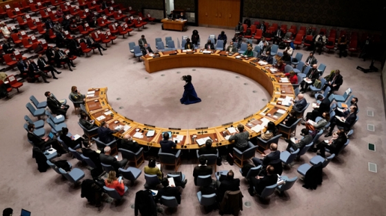 Хай відповідає в Гаазі – Британія заблокувала виступ Львової-Бєлової в Радбезі ООН