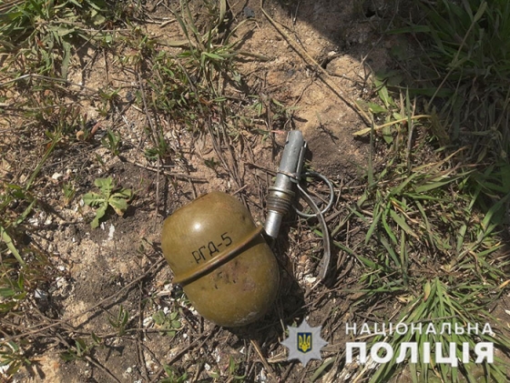 Житель Краматорска нашел в лесопосадке гранату