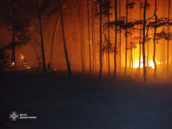 На Донеччині триває ліквідація лісових пожеж