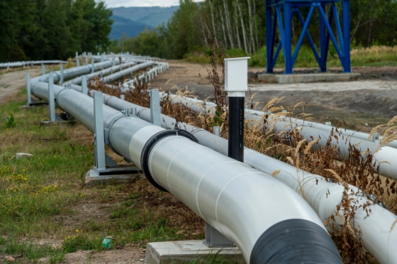 Чехія перестала отримувати нафту через російський трубопровід &quot;Дружба&quot;