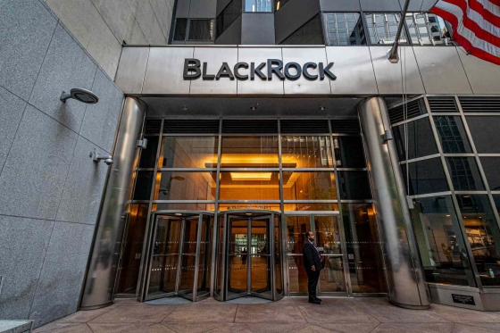 Банк реконструкції України готовий протягом року розпочати роботу, - BlackRock