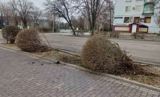 “До одинадцятої вони ще стояли”: у Краматорську невідомі пошкодили зелені насадження
