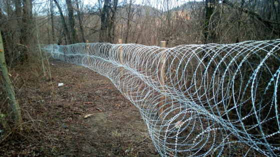 Українця, що віз у багажнику афганців, затримали на польсько-німецькому кордоні