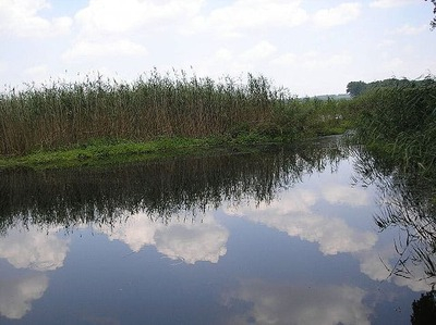 У Краматорському районі рятувальники дістали з водойми тіло чоловіка