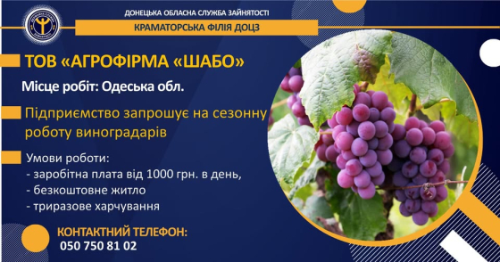 «Агрофірма Шабо» запрошує на сезонну роботу: житло надається
