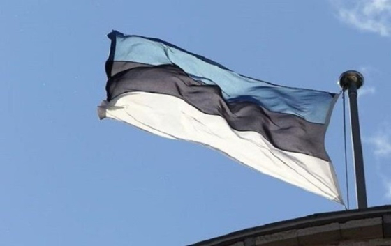 Естонія передала Україні 22 поліцейські авто