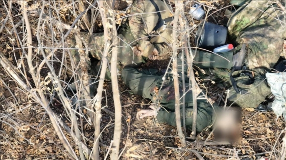 Рашисти зв’язали та вбили взятих у полон українських військових на Токмацькому напрямку, - Стерненко