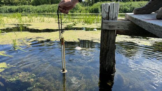 У Сіверському Донці зафіксували найнижчий рівень води за 72 роки