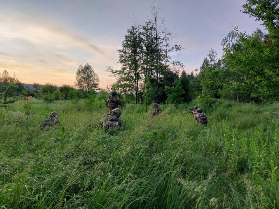 Ніякого вторгнення до Бєлгородської області з боку України немає, є рейди, -  ISW