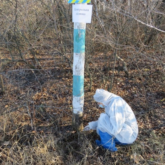 У Краматорьску проводиться планова пероральна імунізація диких та бродячих тварин
