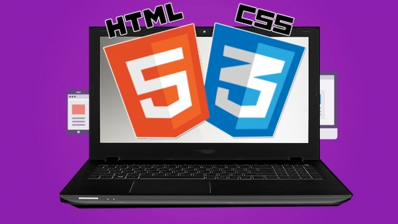 Курсы HTML и CSS: для кого, для чего, особенности